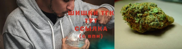 индика Иннополис
