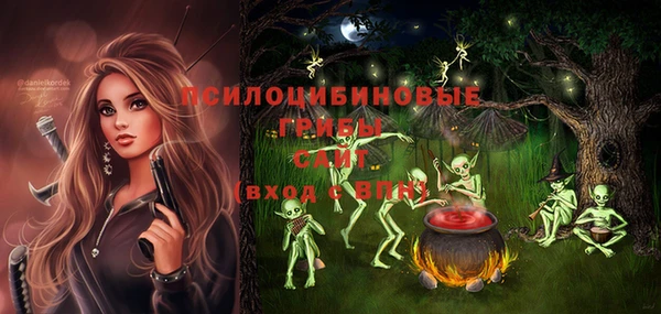 индика Иннополис