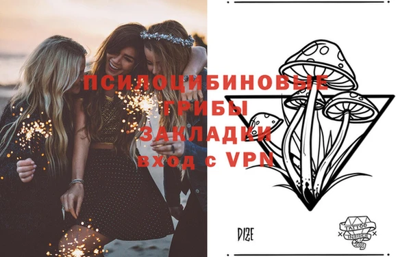 индика Иннополис