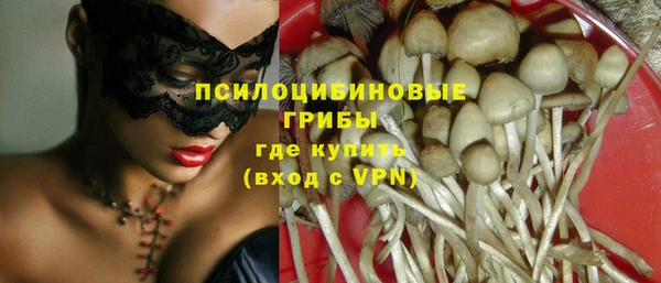 jwh Инсар
