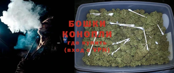 индика Иннополис