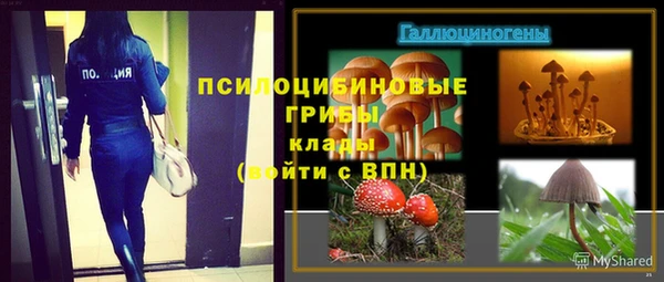 jwh Инсар
