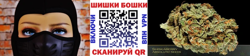 Бошки марихуана AK-47  Купить закладки  Новоуральск 